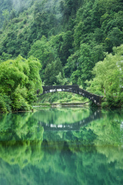 湖北恩施宣恩县高罗乡清水塘村
