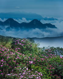 中国湖北神农架林区神农顶