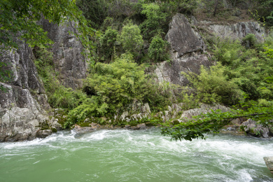 长有零星植物的石壁下溪流水潭，福建长汀