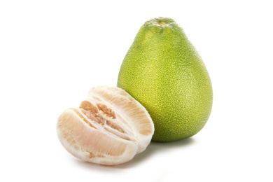 文旦柚带叶子白底