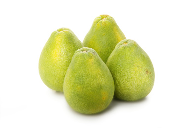 文旦柚带叶子白底