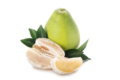 文旦柚带叶子白底