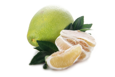 文旦柚带叶子白底