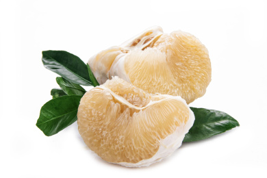 文旦柚带叶子白底