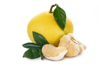 文旦柚带叶子白底