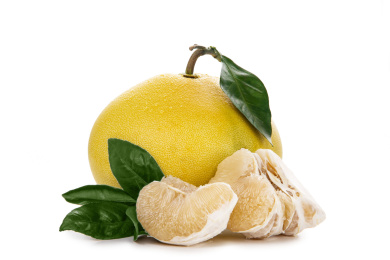 文旦柚带叶子白底