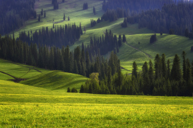 中国新疆伊犁新源那拉提的风光