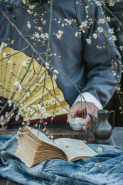 冬天的白梅花下，手持一杯酒