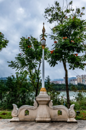 中国云南省景洪市街道雄鸡路灯杆电器装饰