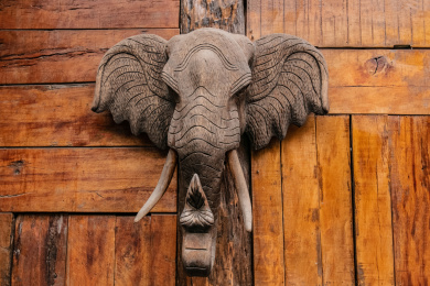 中国云南省景洪市街道民居住宅大象头面装饰建筑