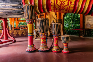 室内傣族传统器乐静物展示品