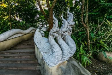 中国云南省景洪市西双版纳曼听公园龙兽雕塑装饰