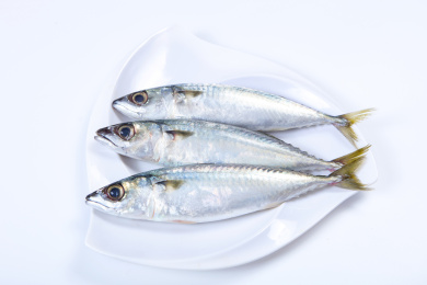 海鱼食材花仙鱼