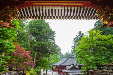 亚洲日本东照寺古建筑