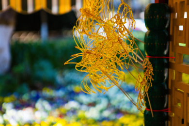 中国街头特色民俗小吃糖画