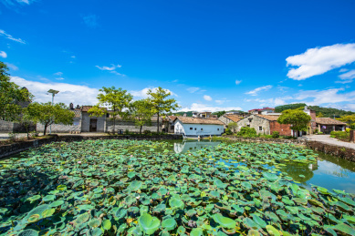 广东清远山岳古村口的荷花池