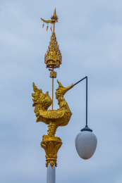 中国云南省景洪市街道雄鸡路灯杆电器装饰