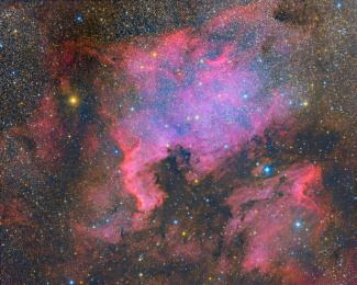 北美洲星云和鹈鹕星云