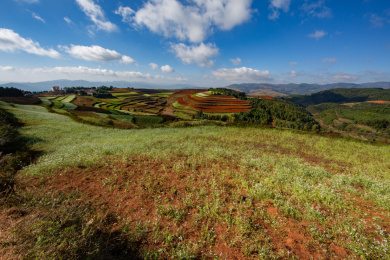 云南省昆明市东川红土地