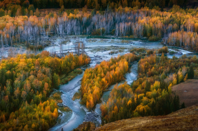 中国新疆阿勒泰布尔津喀纳斯白哈巴村秋景