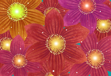 波斯菊花卉国风插画纹案