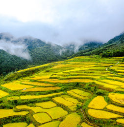 广东省清远市连山黑山梯田景区