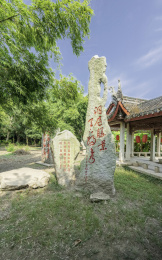 洞庭湖畔的湖南岳阳君山岛风光