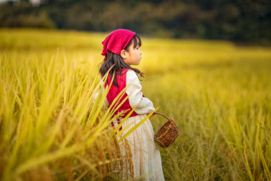 夕阳下一个身着裙子的小姑娘走在稻田间游玩