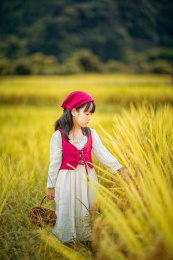 夕阳下一个身着裙子的小姑娘走在稻田间游玩