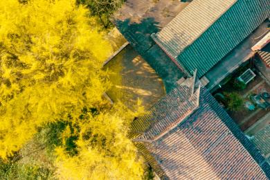 中国湖南长沙岳麓山银杏下的云麓宫