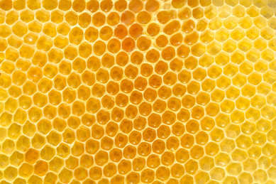 养蜂场里的蜜蜂蜂巢和蜂蜜的背景特写