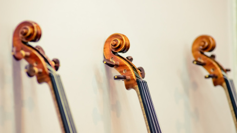 小提琴头部的长焦镜头特写。