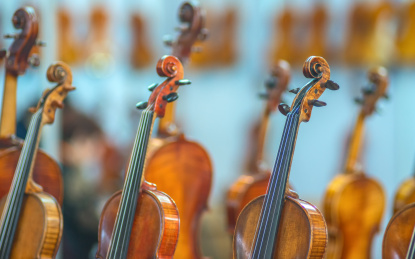 小提琴头部的长焦镜头特写。