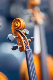 小提琴头部的长焦镜头特写。