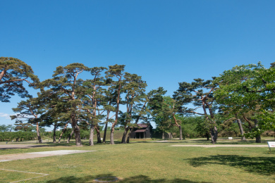 日本函馆五陵郭公园