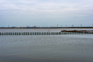 天津大港海边的鱼塘围栏