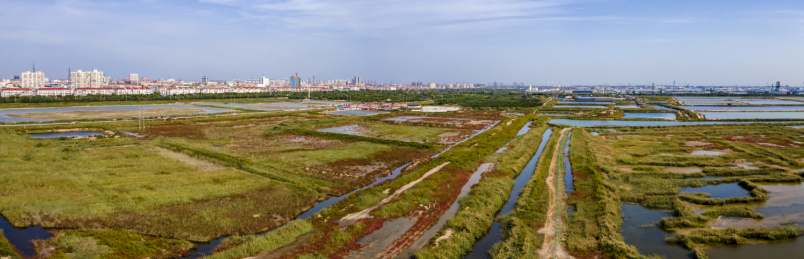 中国天津大港万亩鱼塘航拍俯视全景图