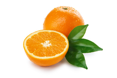 夏橙和切开果肉带绿叶子白底