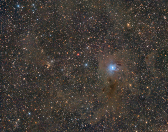 鸢尾花星云和鬼魂星云