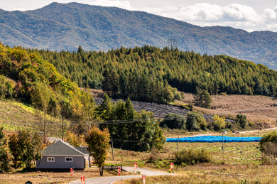 秋季的北方乡间景观 