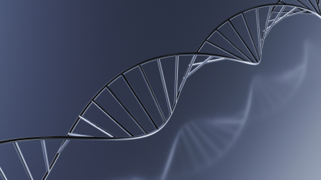 3D渲染DNA双螺旋结构体插图