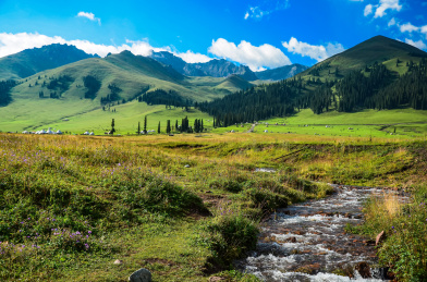 中国新疆那拉提空中草原上的小溪