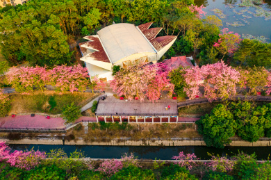 广东省广州市从化区华软丝木棉广场