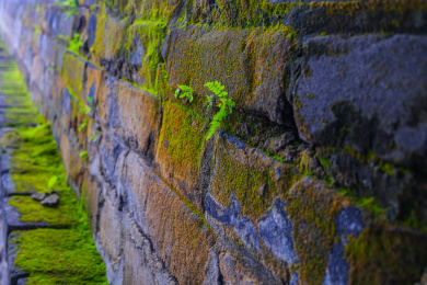 古城襄阳城城墙石阶的绿植青苔