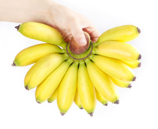 手上提着一串小米蕉