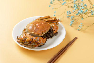 大闸蟹特写黄色莫兰迪色系背景