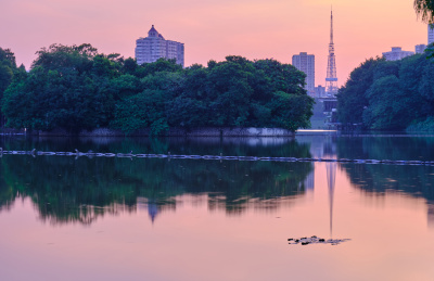 中国广州麓湖公园湖泊夕阳风景
