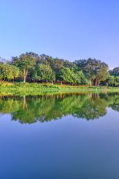 中国广州麓湖公园湖泊风景