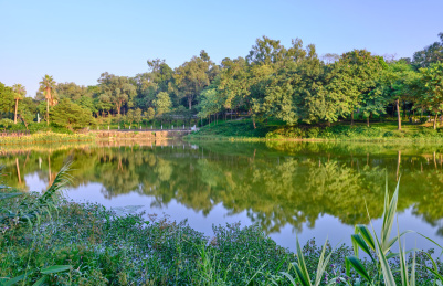 中国广州麓湖公园湖泊风景