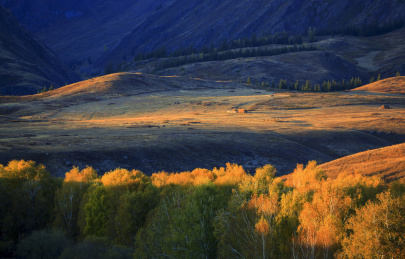 中国新疆阿勒泰白哈巴秋色